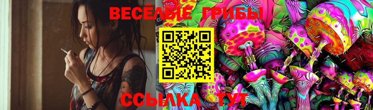Псилоцибиновые грибы Psilocybe  Вход с VPN  Сатка 